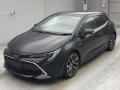 2019 Toyota Corolla Sports