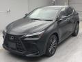 2022 Lexus NX