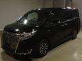 2017 Toyota Esquire