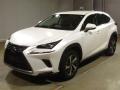 2018 Lexus NX