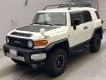 2013 Toyota FJ CRUISER