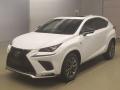 2021 Lexus NX