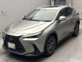 2024 Lexus NX