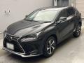 2021 Lexus NX