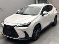 2022 Lexus NX