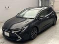 2022 Toyota Corolla Sports
