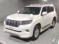 2019 Toyota Land Cruiser Prado