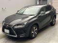 2021 Lexus NX