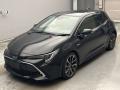 2019 Toyota Corolla Sports