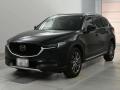 2021 Mazda CX-8