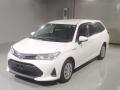 2020 Toyota Corolla Fielder