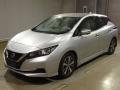 2020 Nissan Leaf