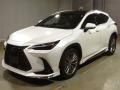 2023 Lexus NX