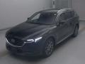 2019 Mazda CX-8