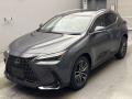 2024 Lexus NX
