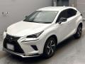 2020 Lexus NX