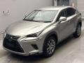 2019 Lexus NX