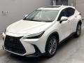 2022 Lexus NX