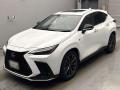 2024 Lexus NX