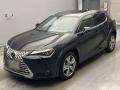 2022 Lexus UX