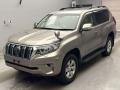 2019 Toyota Land Cruiser Prado