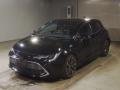 2021 Toyota Corolla Sports