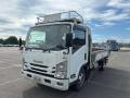 2020 Isuzu Elf Truck