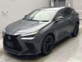 2021 Lexus NX