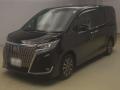 2021 Toyota Esquire