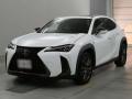 2020 Lexus UX