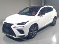 2019 Lexus NX