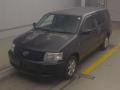 2009 Toyota Succeed Wagon