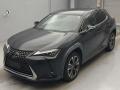 2019 Lexus UX