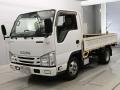 2018 Isuzu Elf Truck