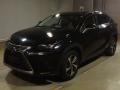 2018 Lexus NX