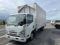 2019 Isuzu Elf Truck