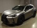 2021 Lexus UX