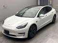 2021 Others MODEL 3