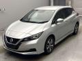 2019 Nissan Leaf