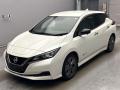 2021 Nissan Leaf