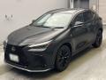 2022 Lexus NX