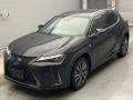 2019 Lexus UX