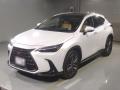 2024 Lexus NX