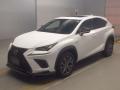 2019 Lexus NX