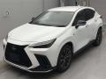 2024 Lexus NX