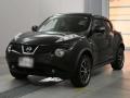 2012 Nissan JUKE