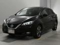 2021 Nissan Leaf