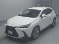 2024 Lexus NX