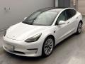 2021 Others MODEL 3