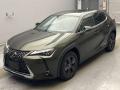 2021 Lexus UX